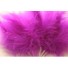 Wired fluffy feather mount plum