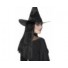 witch wig long 24inch