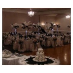 Ostrich Feather Centerpiece same as we hire for £25