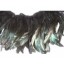 6-8inch Coque Feather Fringe